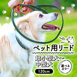 yӂ邳Ɣ[Łz ybgp [h 120cm IׂJ[ TCY ^ ^ ^ {v ybg    ^  [h {v U[ v  U  EH[LO 