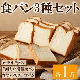 【ふるさと納税】 食パン 選べる 3種セット 冷凍パン ホテル食パン 湯種パン パンセット お試し ヘルシー 朝食 おやつ トースト サンドイッチ フレンチトースト ベーカリー 朝ご飯 おやつ もっちりパン 冷凍食品 発酵 おいしい 贈り物 仕送り