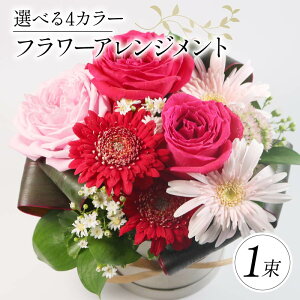 yӂ邳Ɣ[Łz Gߌ IׂJ[ t[AWg ̓ Mtg ԑ u[P   j p 蕨 a Mtg v[g ̓ bsO CeA bh