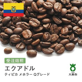 【ふるさと納税】[豆] #64 受注焙煎！310g エクアドル ティピカ メホラー Qグレード 珈琲豆 コーヒー豆 自家焙煎 | 珈琲 コーヒー 焙煎 カフェ 大阪府大東市