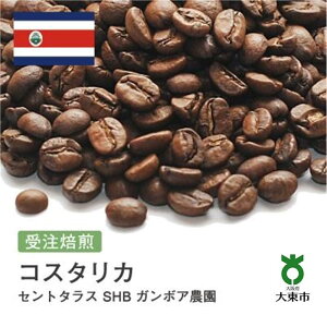 yӂ邳Ɣ[Łz[] #71 I310g RX^J Zg^X SHB K{A_ 蓤 R[q[  |  R[q[  JtF {哌s