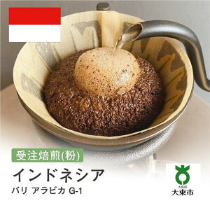 yӂ邳Ɣ[Łz[  ]#45 I310g o ArJ G-1 蕲 R[q[  |  R[q[  JtF {哌s