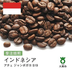 yӂ邳Ɣ[Łz[]#72 I310g ChlVA A`F W{K S19 蓤 R[q[  |  R[q[  JtF {哌s