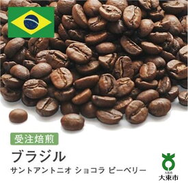 【ふるさと納税】[ 豆 ]#86 受注焙煎！ 310g ブラジル サントアントニオ ショコラ ピーベリー 珈琲豆 コーヒー豆 自家焙煎 | 珈琲 コーヒー 焙煎 カフェ 大阪府大東市