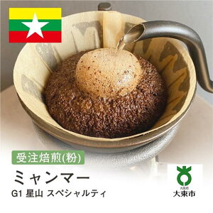 yӂ邳Ɣ[Łz[  ]#150 I310g ~}[ G1 R XyVeB 蕲 R[q[  |  R[q[ JtF  {哌s