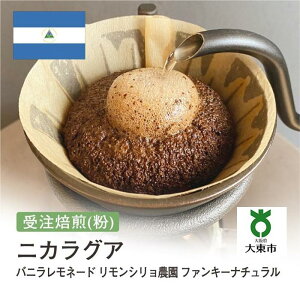 yӂ邳Ɣ[Łz[  ]#157 I310g jJOA ojl[h V_ t@L[i` 蕲 R[q[  |  R[q[ JtF  {哌s