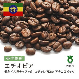 【ふるさと納税】[ 豆 ]#144 受注焙煎！310g エチオピア モカ イルガチェフェG1 コチャレ 7Days アナエロビック 珈琲豆 コーヒー豆 自家焙煎 | 珈琲 コーヒー カフェ 焙煎 大阪府大東市