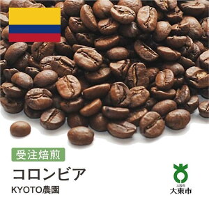yӂ邳Ɣ[Łz[  ]#152 I310g RrA KYOTO_ 蓤 R[q[  |  R[q[ JtF  {哌s