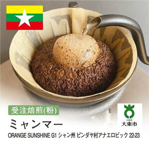 yӂ邳Ɣ[Łz[  ]#180 I310g ~}[ ORANGE SUNSHINEG1 VB s_AiGrbN 22-23 蕲 R[q[  |  R[q[ JtF  {哌s