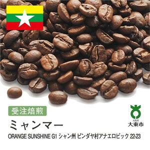 yӂ邳Ɣ[Łz[  ]#180 I310g ~}[ ORANGE SUNSHINEG1 VB s_AiGrbN 22-23 蓤 R[q[  |  R[q[ JtF  {哌s