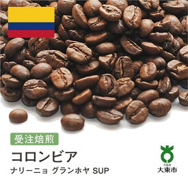 【ふるさと納税】[ 豆 ]#113 受注焙煎！310g コロンビア ナリーニョ グランホヤ SUP 珈琲豆 コーヒー豆 自家焙煎 | 珈琲 コーヒー 焙煎 カフェ 大阪府大東市