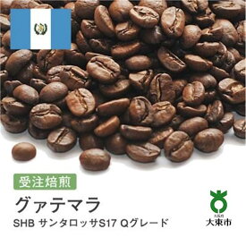 【ふるさと納税】[ 豆 ]#23 受注焙煎！310g グァテマラSHB サンタロッサS17 Qグレード 珈琲豆 コーヒー豆 自家焙煎 | 珈琲 コーヒー 焙煎 カフェ 大阪府大東市