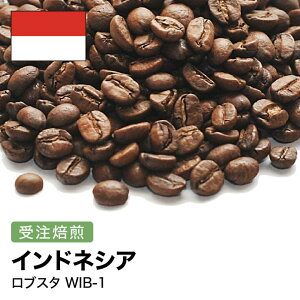 yӂ邳Ɣ[ŁzR[q[ #258 ChlVA uX^ WIB-1 I310g 蓤  |   R[q[ \tghN lC  
