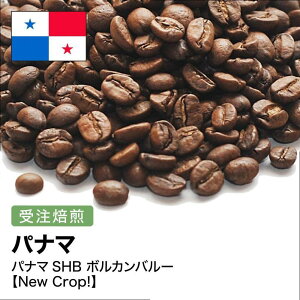 yӂ邳Ɣ[ŁzR[q[ #267 pi}SHB {Jo[ I310g 蓤  |   R[q[ \tghN lC  