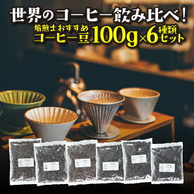 【ふるさと納税】[粉]コーヒー豆 100g×6種類セット 合計600g 注文後焙煎