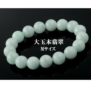 yӂ邳Ɣ[Łz12~E{ŐuXbg@MyzsnFꌧzy1214997z