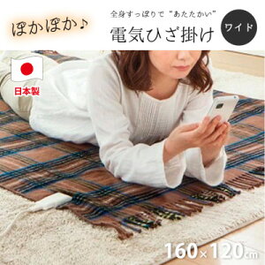 yӂ邳Ɣ[Łzy160×120cmzFXg!ChTCYgdCЂ|uE@SB-20HW01-BRy1430896z