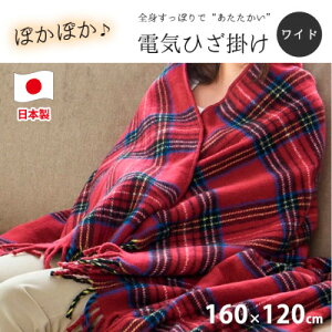yӂ邳Ɣ[Łzy160×120cmzFXg!ChTCYgdCЂ|C@SB-20HW01-WIy1430897z