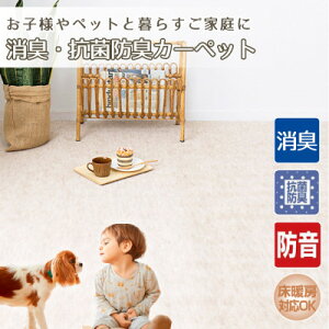 yӂ邳Ɣ[Łzy8zqlybgƕ炷ƒ̉KJ[ybg AC{[(G~A8IV)y1492959z