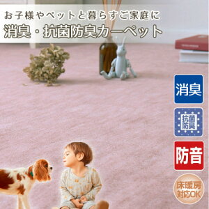 yӂ邳Ɣ[Łzy8zqlybgƕ炷ƒ̉KJ[ybg [Y(G~A8RO)y1492962z