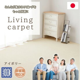 【ふるさと納税】【江戸間8畳】家族が集まるリビングをもっと快適に!リビングカーペット アイボリー ウイング8畳IV【1493007】