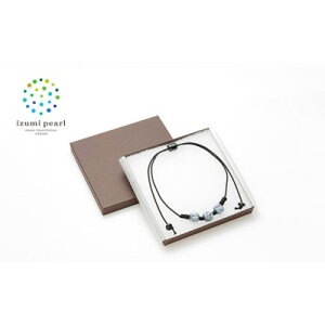 yӂ邳Ɣ[Łz吳10NnƈɎq̃g{ʃlbNXqDFryAN135zy1498848z