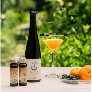 yӂ邳Ɣ[ŁzJAPOLA(W|) 500ml 1{ + r 50ml@2{y1466771z