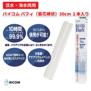 yӂ邳Ɣ[ŁzyoCRzsDzhރotB/oCRotB(Bafi) eԖ_30cm1{(IY012-SJ)y1499867z