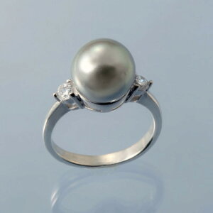 �y�ӂ邳�Ɣ[�Łz�L�p�[���̃V���o�[�����O�E�O���[(11��)�y�z���s�n��F���ꌧ�z�y1501978�z