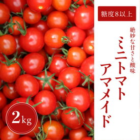 【ふるさと納税】【2kg】ミニトマト 糖度8以上 アマメイド 　リピーター続出の人気野菜【1502584】