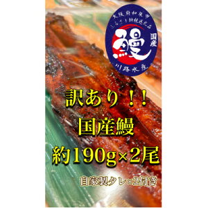 yӂ邳Ɣ[Łzq󂪂Ă낵ł傤?r󂠂荑YȂĂ×2yzsnFEkCEꌧzy1525136z