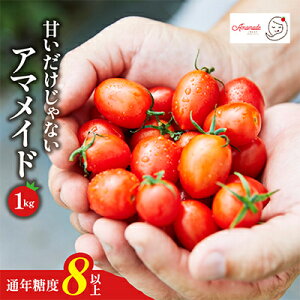 【ふるさと納税】【1kg】ミニトマト 糖度8以上 アマメイド  リピーター続出の人気野菜_ トマト ミニトマト アマメイド 野菜 やさい 人気 おすすめ 送料無料 ブランド バッグ栽培 【1502576】