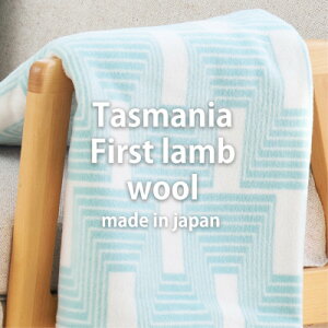 【ふるさと納税】【ハーフサイズ】洗えるタスマニアラムウール混毛布 100×140cm グリーン OTW-R【1555534】