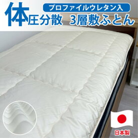 【ふるさと納税】【セミダブル】日本製 体圧分散プロファイルウレタン敷ふとん120×210cm　HGP-SW【1559634】