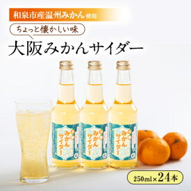 【ふるさと納税】和泉市産みかんを使用!道の駅で大好評のみかんサイダーを24本セットで!【1607363】