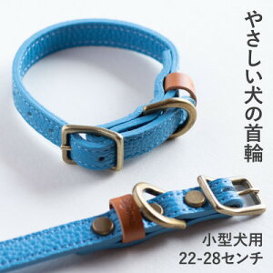 【ふるさと納税】首輪 本革 イタリアンレザー ブルー 小型犬用 (22-28センチ)ペット用品【dc-01ss】【1663062】