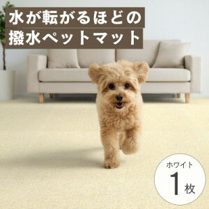 yӂ邳Ɣ[Łz]̝!ybg}bguUKUv1 zCgy1666793z
