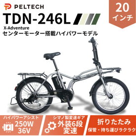 【ふるさと納税】PELTECH X-Adventure 20型折り畳み自転車 TDN-246L (選べる3色)_ 自転車 電動自転車 アシスト自転車 折り畳み 折り畳み自転車 20インチ リアキャリア付 大阪府 和泉市 送料無料 贈答 ギフト 【配送不可地域：沖縄県】【G1625975】