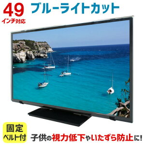 【ふるさと納税】49MBL5 49インチ用 テレビ画面保護パネル ブルーライトカットタイプ 位置調整用スペーサー付【1669387】