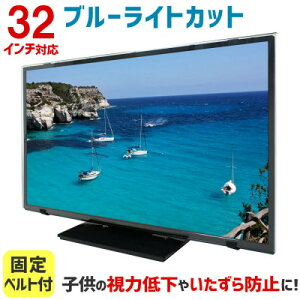 【ふるさと納税】32MBL5 32インチ用 テレビ画面保護パネル ブルーライトカットタイプ 位置調整用スペーサー付【1669390】
