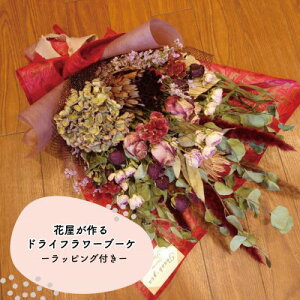 yӂ邳Ɣ[Łz{aŝԉ񂪑hCt[XbO(GKgn)@S@Mtgy1669571z