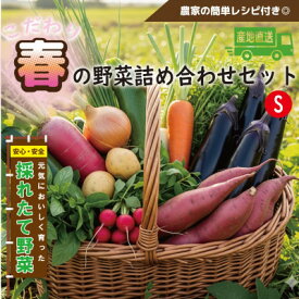 【ふるさと納税】【こだわり春の野菜詰め合わせセット】Sサイズ　栽培期間中農薬・化学肥料・除草剤不使用の旬野菜【配送不可地域：離島】【1679691】