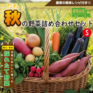 【ふるさと納税】【こだわり秋の野菜詰め合わせセット】Sサイズ 栽培期間中農薬・化学肥料・除草剤不使用の旬野菜【配送不可地域:離島】【1679692】