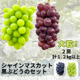 【ふるさと納税】【先行予約】シャインマスカット1房+黒ぶどう1房　合計1.2Kg以上【配送不可地域：離島】【1702312】