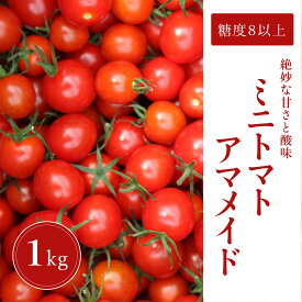 【ふるさと納税】ミニトマト 1kg 糖度8以上 アマメイド 野菜（EW001-SJ）