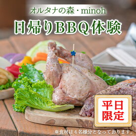 【ふるさと納税】オルタナの森日帰りBBQ体験(平日限定)バーベキュー 焼肉 国産肉 野菜 食材付き セット 片付け不要 自然 アウトドア イベント お食事 子供 こども キッズ ジュニア 小学生 家族 友達 友人【m39-01】【OUTDOOR LIVING】