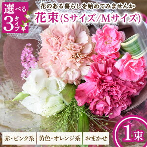 yӂ邳Ɣ[ŁzIׂTCYE^Cvԑ(STCY/MTCYEԃsNn/FIWn/܂E1) ԑ u[P t[Mtg G߂̉  Ԃ̃Mtg j a Ǝ 