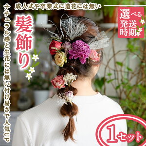 yӂ邳Ɣ[ŁzIׂ锭(1Zbg)  wbhp[c hCt[l Ǝ a   ԏ ԃANZT[ wAANZT[ wAAW  OB