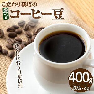 yӂ邳Ɣ[ŁzނIׂ遄͔|̃R[q[(v400gE200g×2)  R[q[   蓤 EK_ {rA }o[ JW uh [   ym70-01