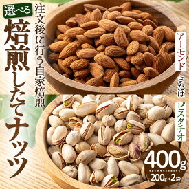 【ふるさと納税】＜種類が選べる＞鮮度抜群！焙煎したてナッツ(計400g・200g×2袋) 焙煎 アーモンド ピスタチオ ローストおやつ おつまみ 【m70-08】【N BLOOD COFFEE ROASTERS】